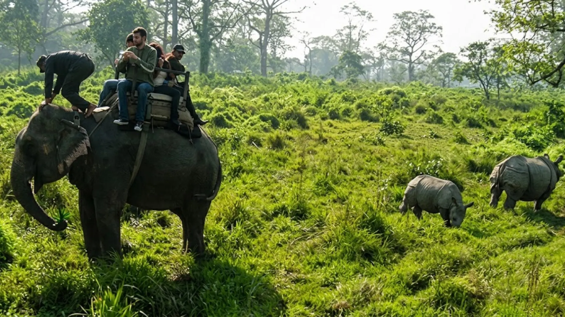 Luxury Wildlife Lodges in Nepal: Chitwan vs Bardia