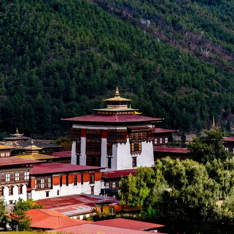 Ornate central utse tower of a traditional Bhutanese dzong fortress surrounded by dense pine forests.