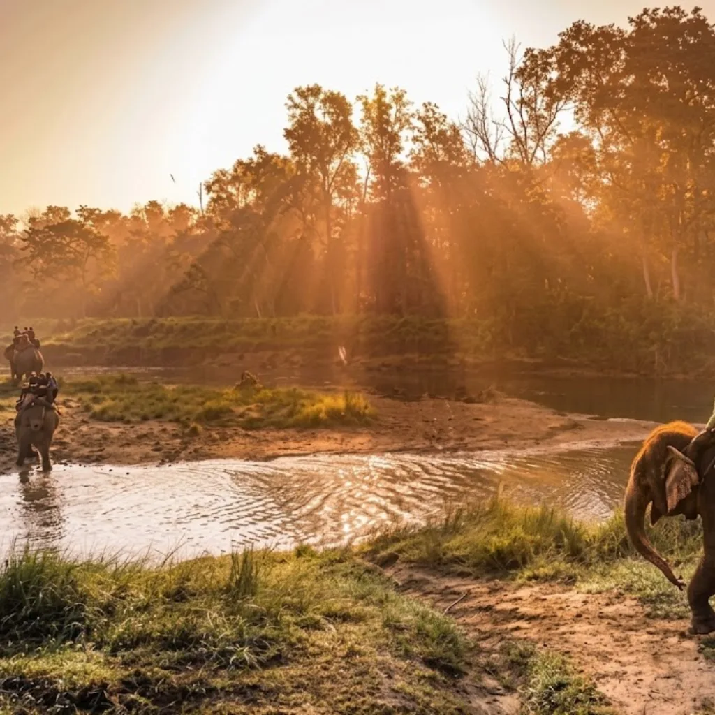 Kathmandu Chitwan Luxury Tour