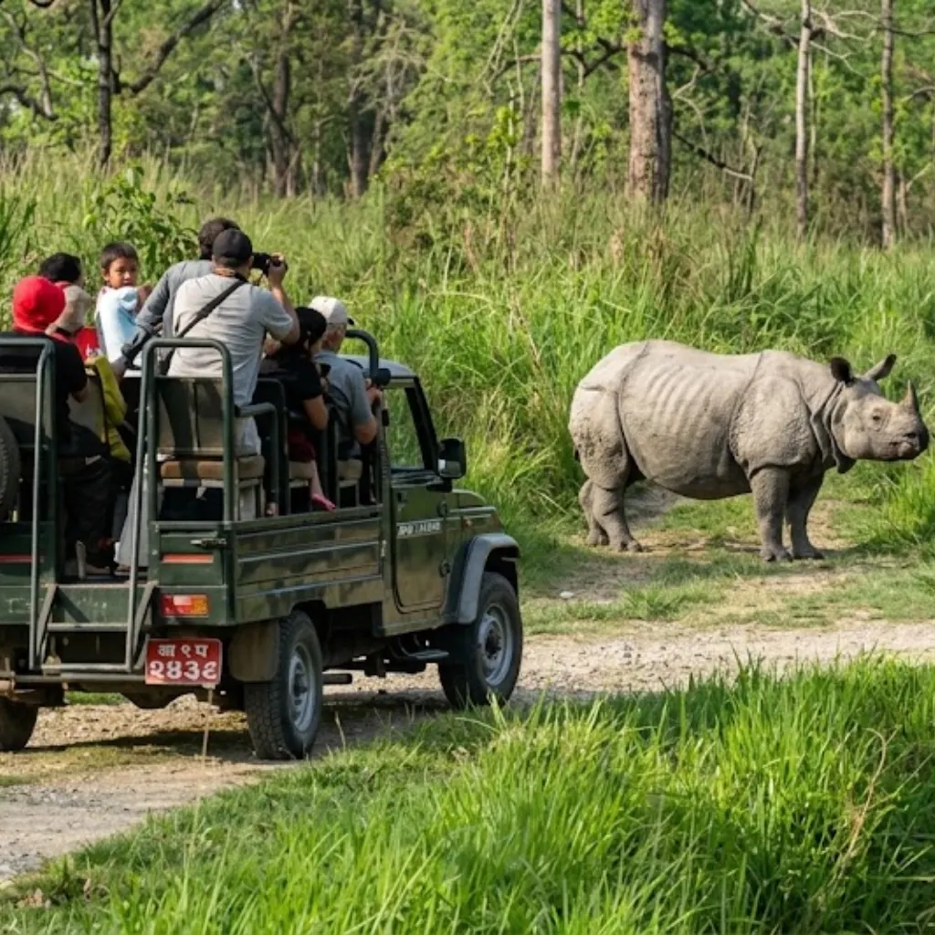 Chitwan Jungle Safari Tour