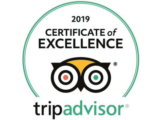 TripAdvisor Rating and Popularity